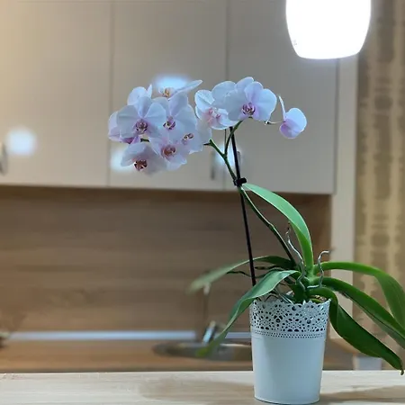 Center